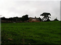 Wellington Farm, near Cockermouth