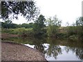 SO7953 : River Teme, near Bransford by Bob Embleton