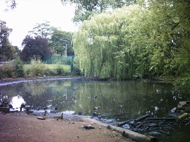 Ponds at Foglane Park