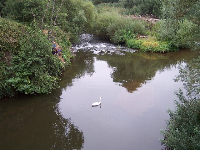 The River Teme from The Bransford Bridge