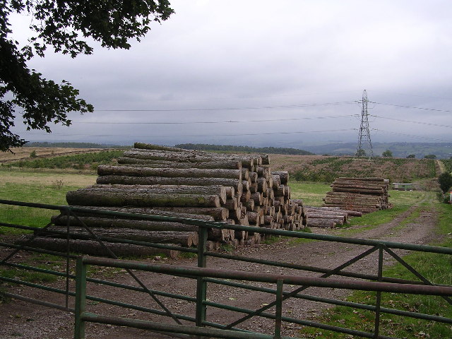 Cut Timber by Greenways Farm