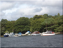 NS3791 : Boats moored in bay on west side of Inchconnachan, Loch Lomond by paul birrell