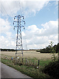 SP1145 : Pylons near Buckle Street by Dave Bushell