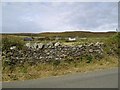 SC2172 : Manx dry stone wall by kevin rothwell