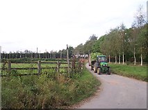 SO7250 : Hop Fields at Harvest Time near Sindon's Mill Farm by Bob Embleton