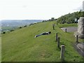 Bluebell Hill view point