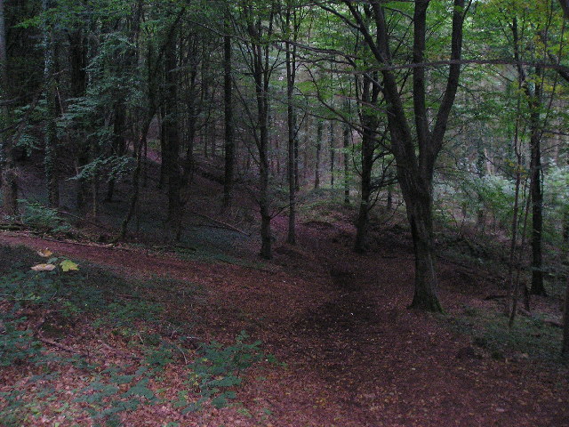 Fforest Fawr © Gale Jolly :: Geograph Britain and Ireland