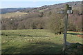 SO5401 : Offa's Dyke Path signpost above Brockweir by Philip Halling