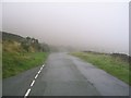 Foggy Road