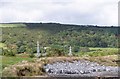 Wooded Slopes Between Burry Port and Pwll