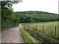 Bridleway on Fetcham Downs