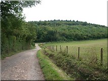 TQ1454 : Bridleway on Fetcham Downs by Andrew Longton