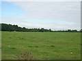 Fields east of bridleway