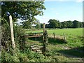 Footpath south of Wellhouse Road