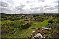 Spa Hill Allotments