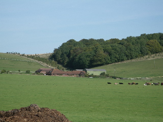 Down Barn Farm with Old Plantation in background.