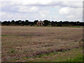 View from Chapel Field Road