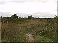 Contaminated and derelict land Wrecsam Industrial Estate