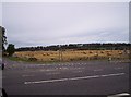 Field of Bales