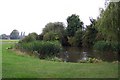 Pond on the green