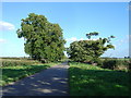 Country Lane Near Lockington