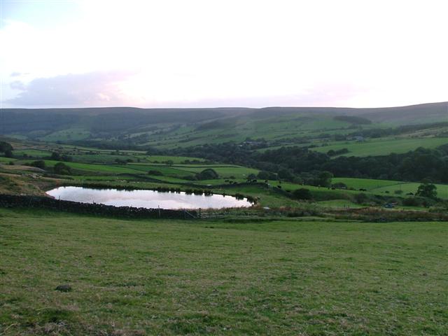 Newly Constructed Pond, Beck Hills