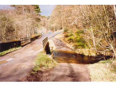 Ford and bridge, Hamsterley Forest