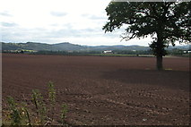 SO5922 : View of the Wye valley just south of Ross-on-Wye by Philip Halling