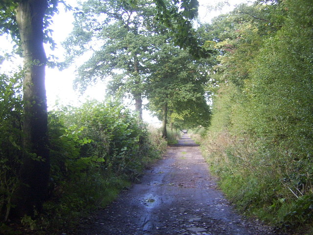 The Lymes Road