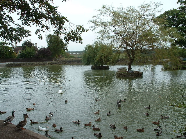 Flaxpits - The village pond at Winterbourne