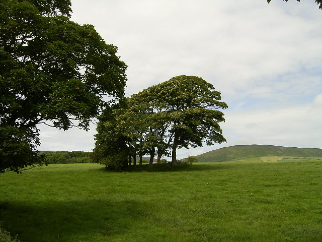 Cairn at The Rhyne near Baldwin