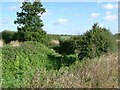 Field Drain at Blue House Farm