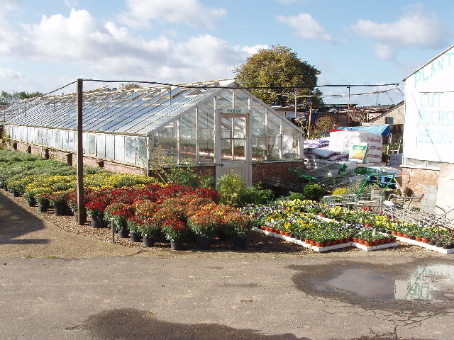 Plant nursery in Denham