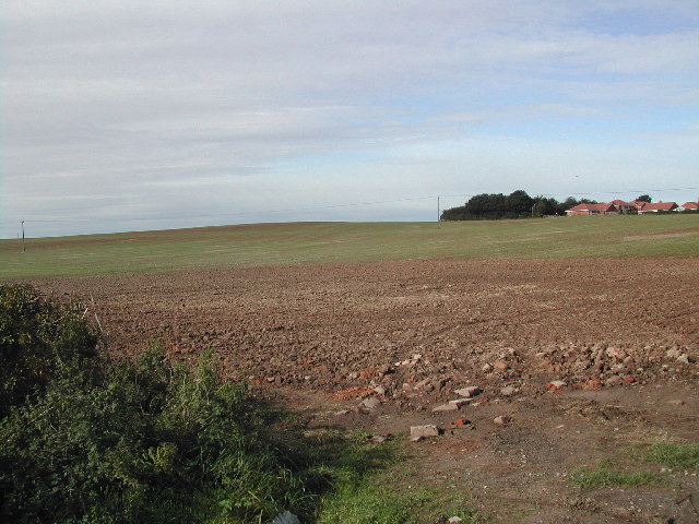 View West over Bilsthorpe Moor