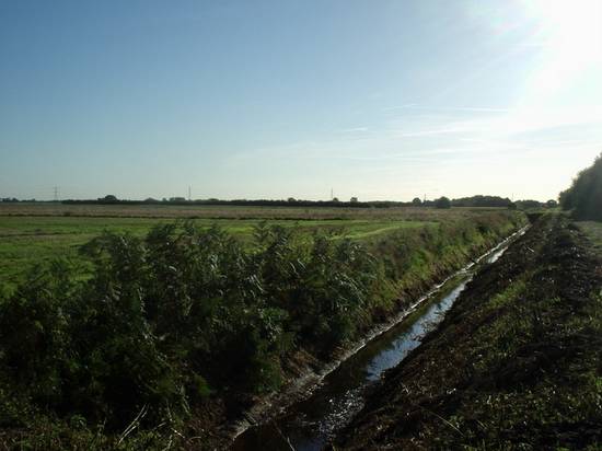 Moor Middle Drain on Crowle Common