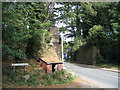 Old bridge, Newent