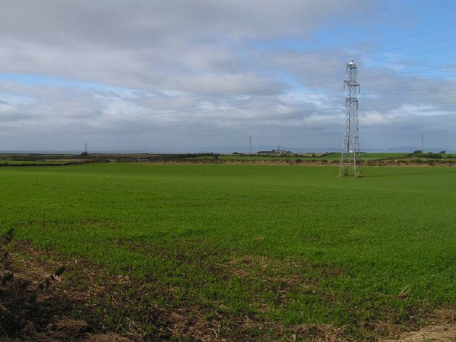 Open countryside near Prospect