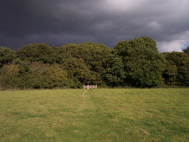 Horton Wood, near Small Dole