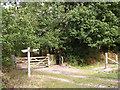 Bridleway junction at the southern edge of Roydon Woods, New Forest