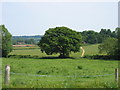 Footpath leading to Eyecote