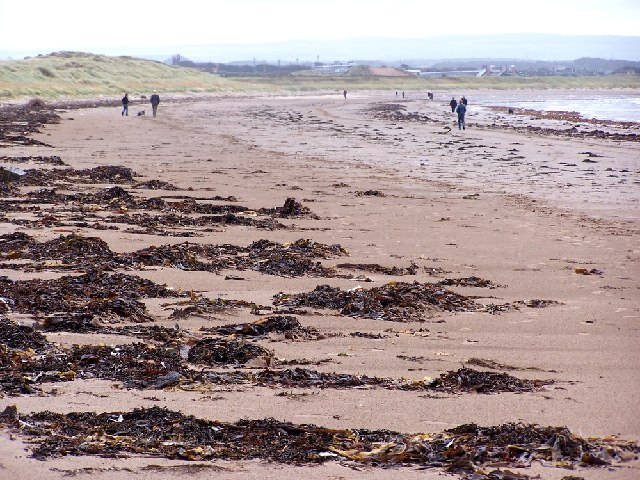 Troon South Sands