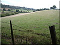 View from Wallsprings Wood, Forest of Dean