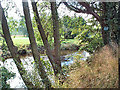 River Wharfe at Ilkley Golf Club