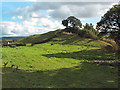 Castleberg Fort, Nesfield