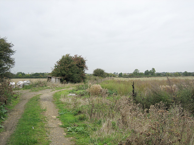 Fields near Honeybourne