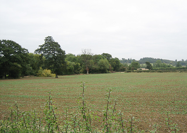 Fields near Mickleton