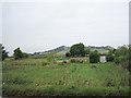 Allotments at Mickleton