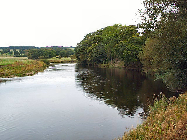 River Wharfe near Manor Park © David Spencer :: Geograph Britain and ...