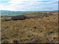 Round Hill tumulus, Middleton Moor