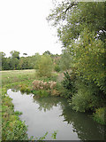 SP2149 : River Stour near Wimpstone by Dave Bushell